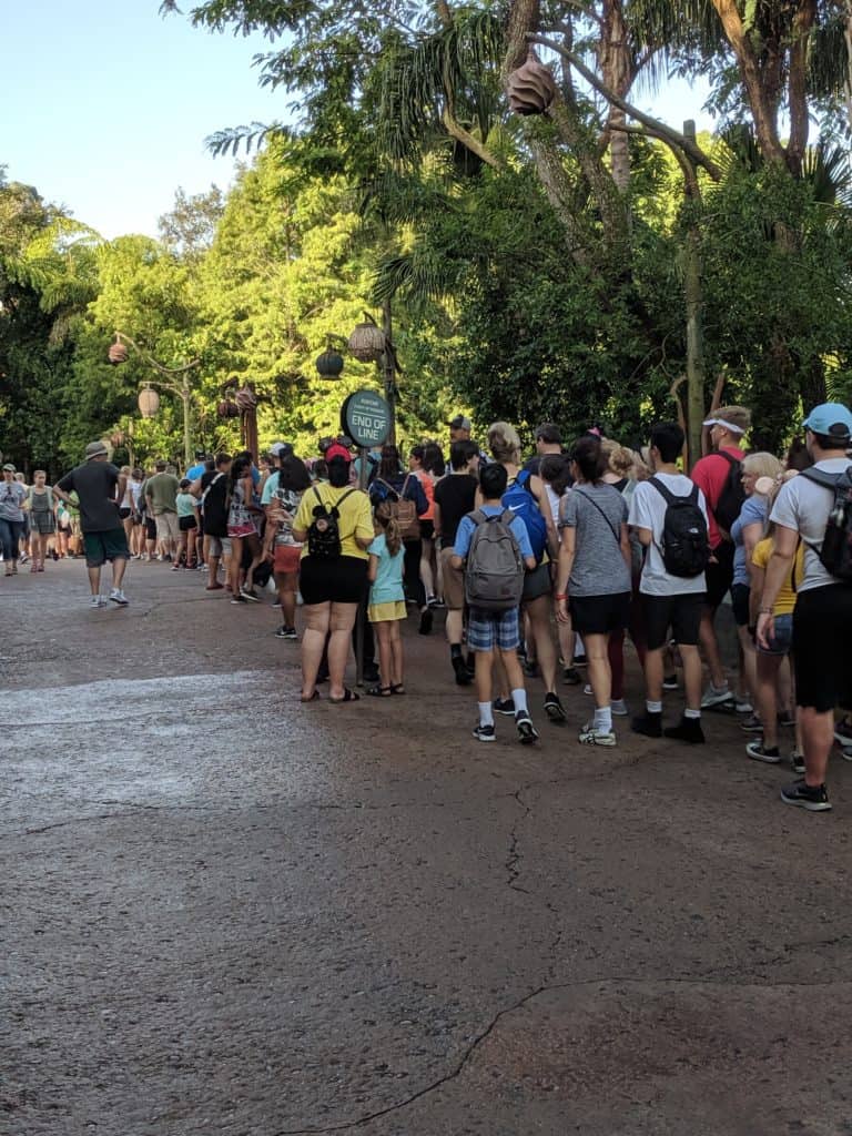 Flight of Passage rope drop line at Extra Magic Hours