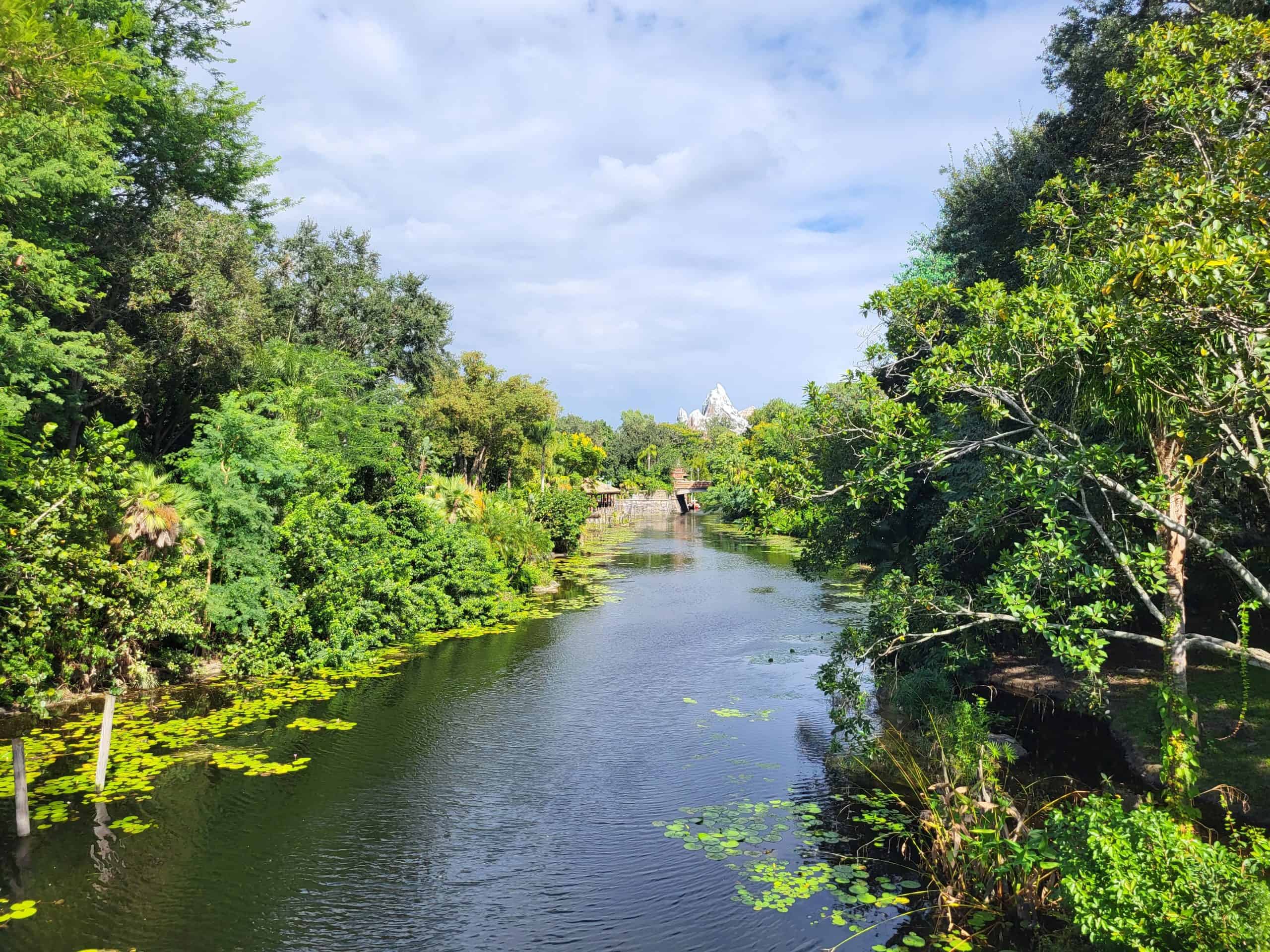 River on a sunny day with clouds at Animal Kingdom